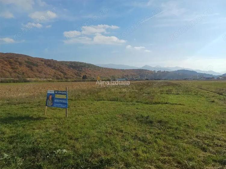 Teren de vanzare pentru constructii case 1 hectar