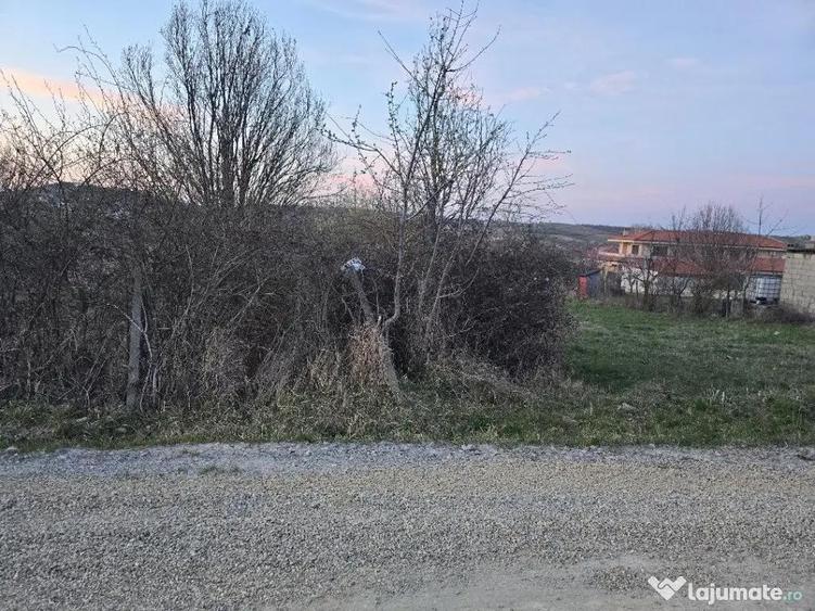 Ter Zona Coline-Raspantii, 1000 mp , utilitati, intre case, gaz - 4