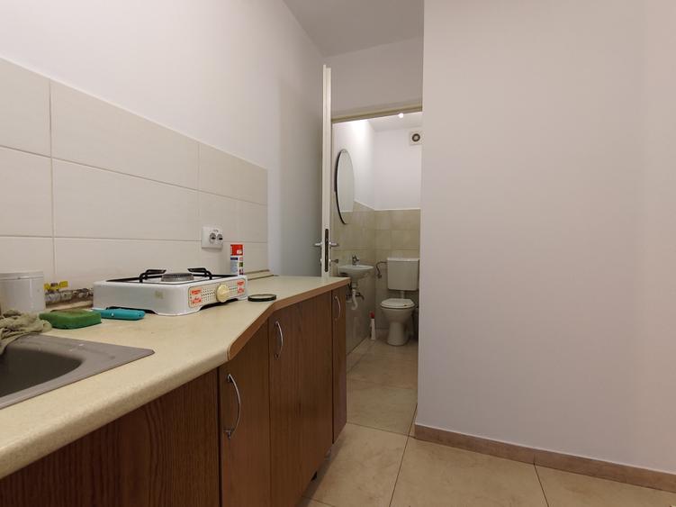 Spatiu Comercial de Inchiriat (in curs de autorizare) - 9