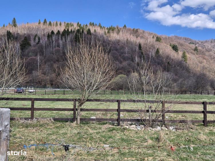 Teren intravilan cu vedere la munte, 1200 mp, acces usor, Plaiul Foii - 2