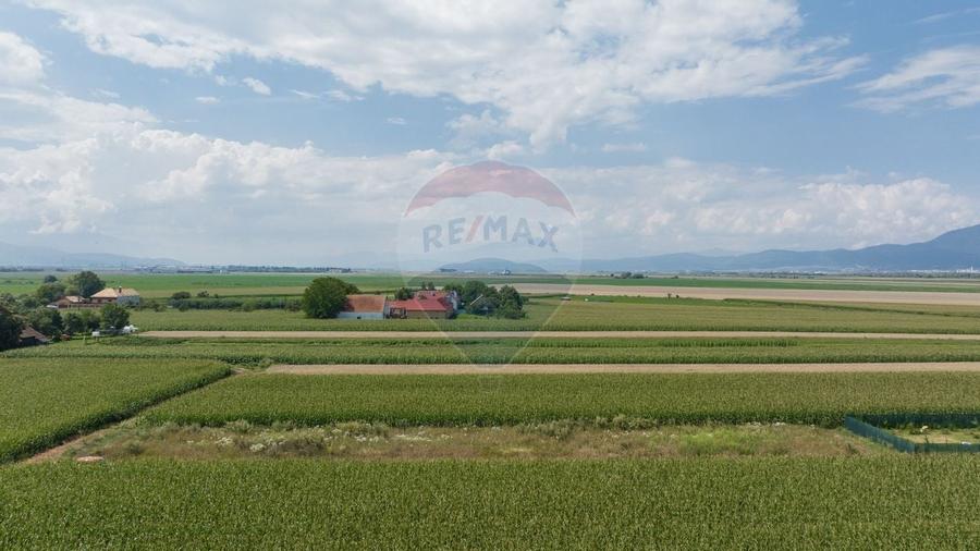 Teren de 1100 mp de vânzare în Stupini - 2