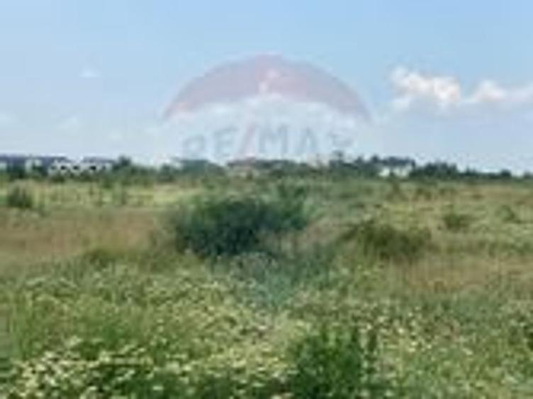 DE VANZARE Teren intravilan 600mp Drumul Piscul Mosului SISESTI - 12