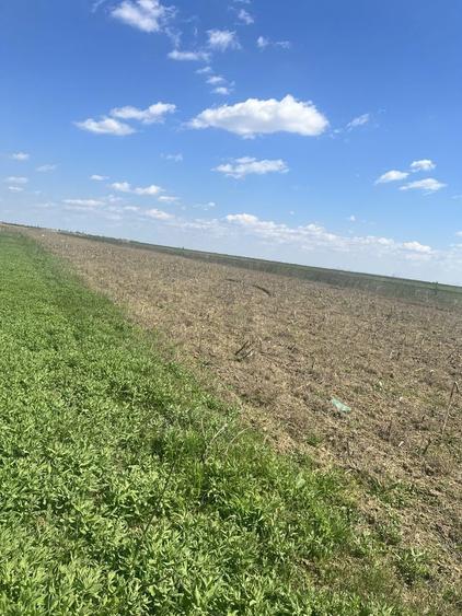 Teren agricol Slobozia Moara 8544 mp acces la drum asfaltat si la 1 km de DN7 - 7