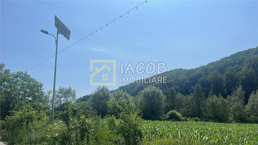 Teren Intravilan-Ideal Investitie-Podis,Margineni,Bacau - 3
