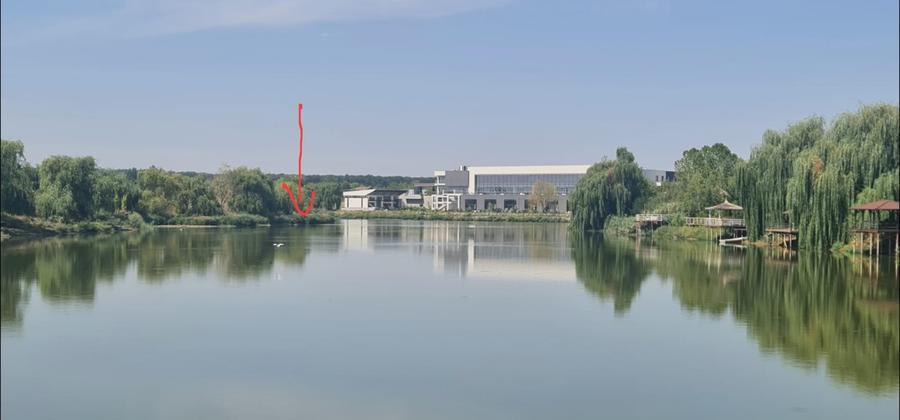 Teren Corbeanca Tamasi vsv de Paradisul verde 16000 mp deschidere lac - 12