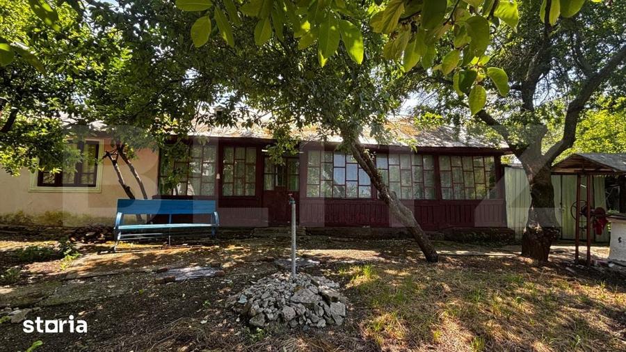 Proprietate cu 2 case, 3.345 mp teren, Balota de Jos, comuna Murgasi - 18