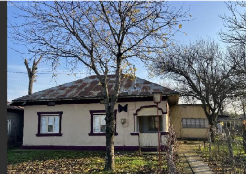 Casa com.Ulmeni jud.Calara?i la 10km.de mun.Oltenita ?i la 70 km de Bucure?ti - 2