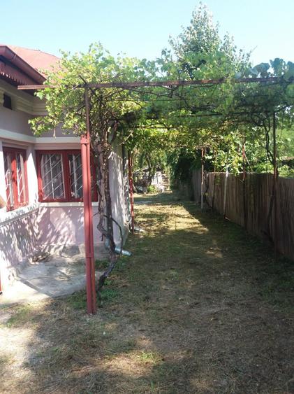 Vand casa la curte teren 2850 mp - 2