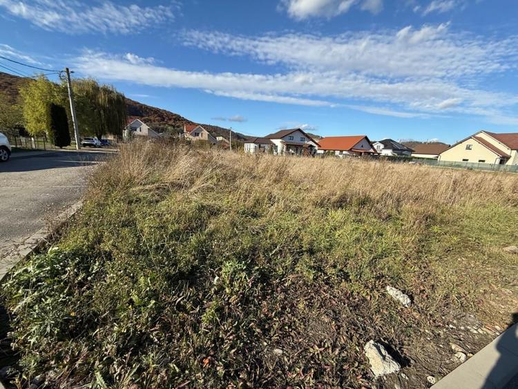 Teren intravilan 600 MP zona  Benta - 3