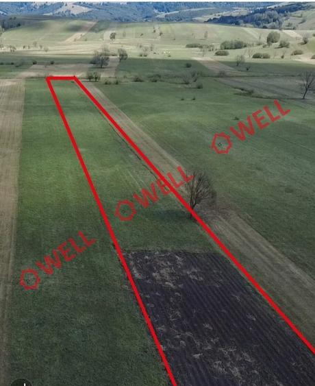 De vânzare teren extravilan loc. Sărămaș - 4