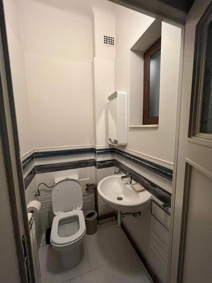 Kiseleff-parc, 4 camere, P/D+P+1+M - 3