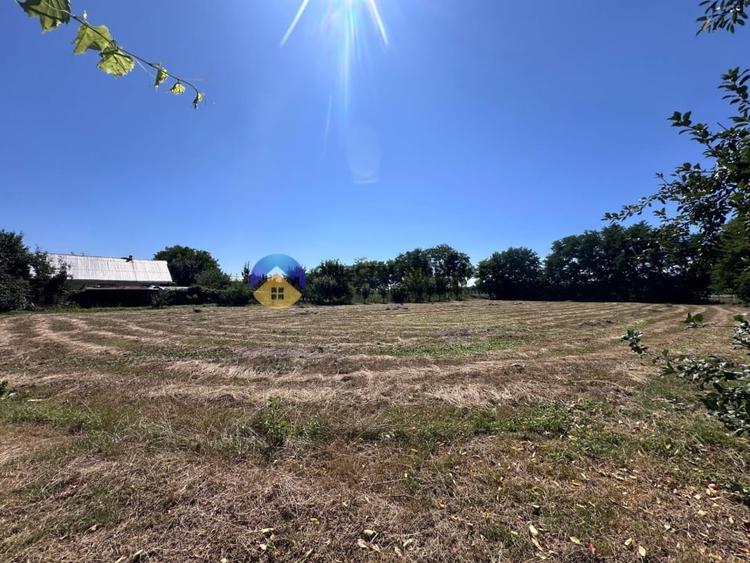 Casa + teren de vanzare - Zanesti - 12