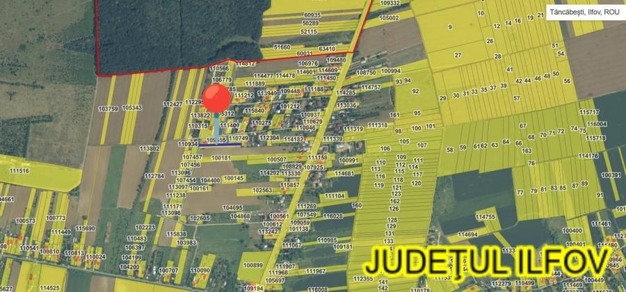 Loturi de teren intravilan in suprafata de 715 mp respectiv 1800 mp, Tancabesti - 2