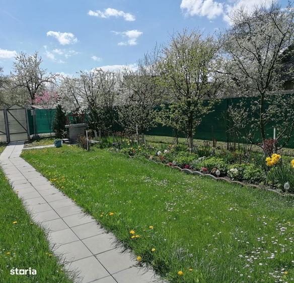 Casuta Burdujeni - 10