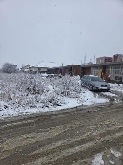 Vand teren prunilor - 4