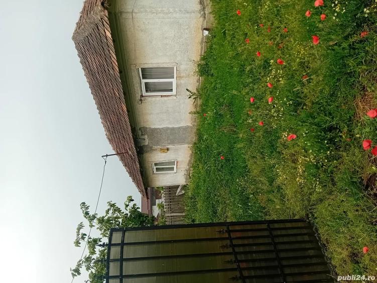 Vand casa si teren - 10