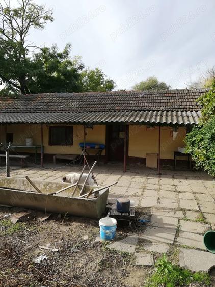 Vand casa batraneasca - 3