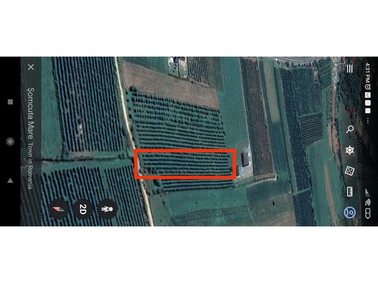 Vand/ Arendez Teren intravilan -livada meri Loc de casa - 3