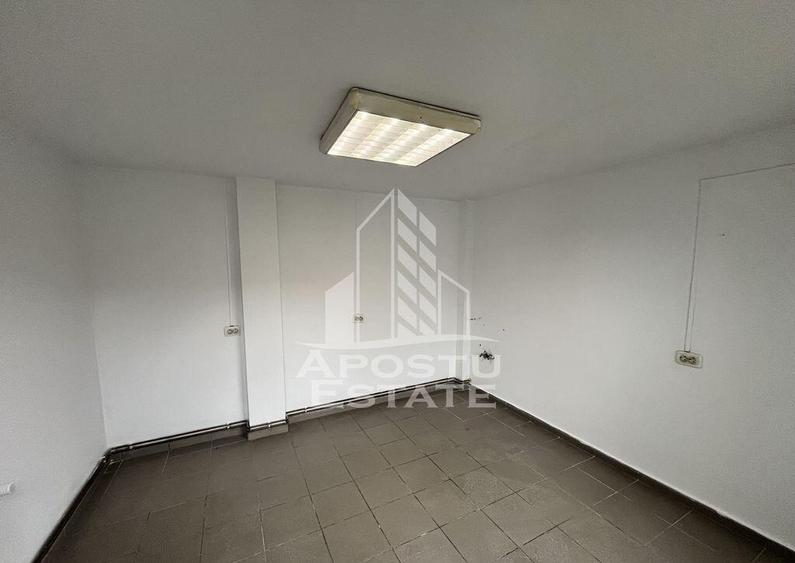 Imobil de vanzare P+M, 173 mp utili, Elisabetin. - 11