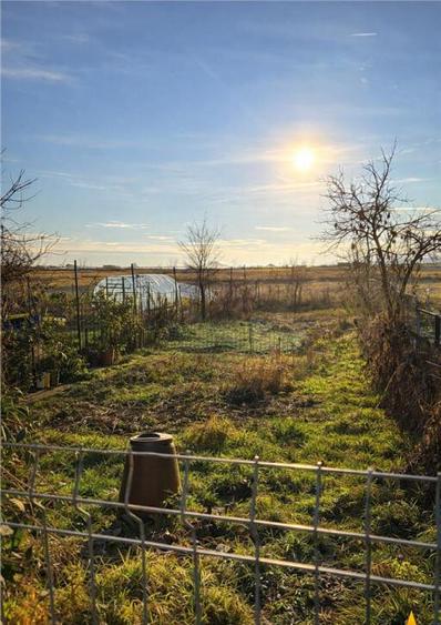 Gospodarie cu atmosfera traditionala,sursa proprie apa,pivni - 5