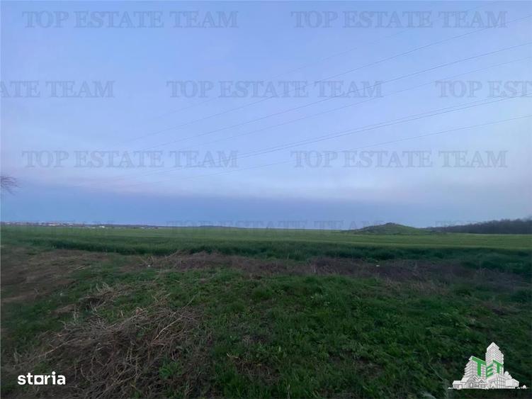 Teren intravilan 15000 mp Costinesti, Constanta - 8