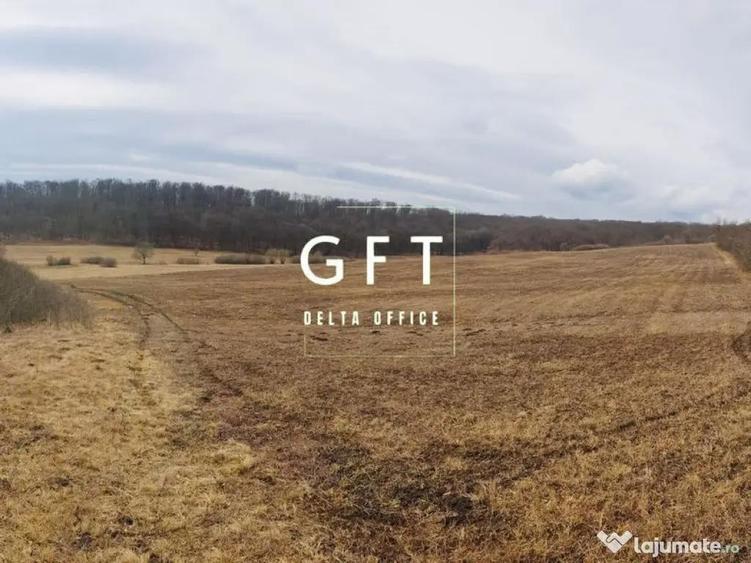 Teren extravilan , zona Valea Castailor - investitie prof... - 1