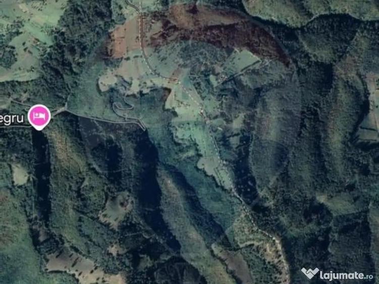 Teren 130000 mp extravilan, faneata si padure, Munteni - ... - 3