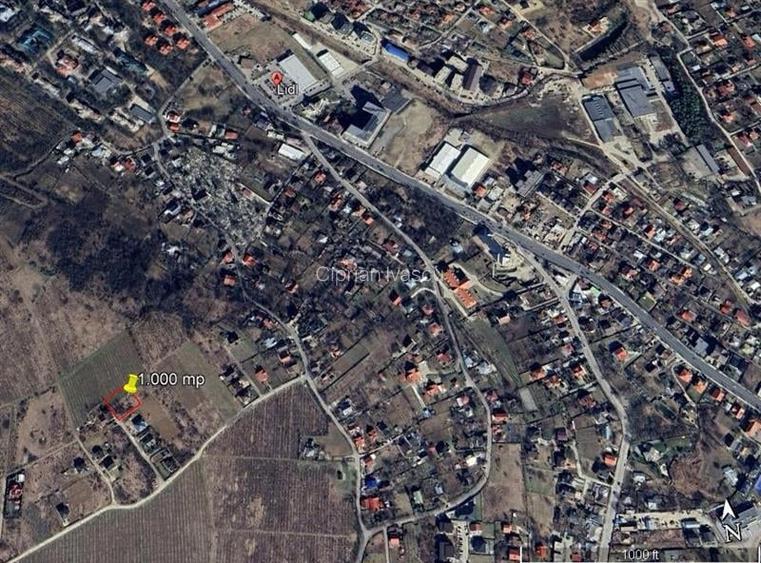Teren 1000 mp Bucium ? cu PUZ pentru construire casa P+1