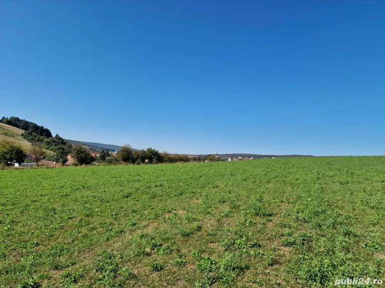 vand teren intravilan agricol 4500 mp in snagov la 40000 euro, - 2