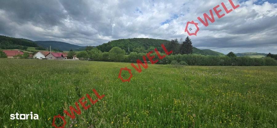 Teren extravilan de vanzare in Barcani, sat Sarama?! - 7