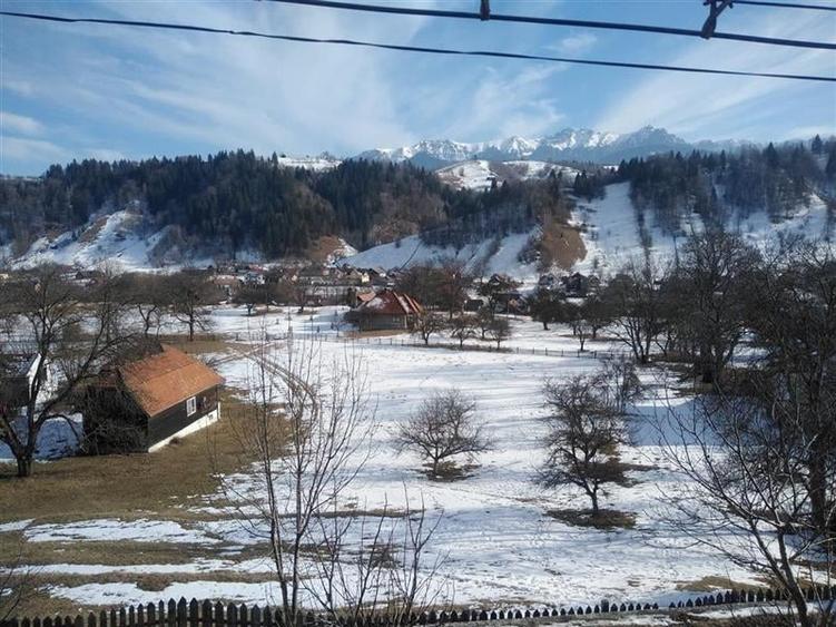 Vanzare teren Moeciu - Brasov - 6000 mp - 2