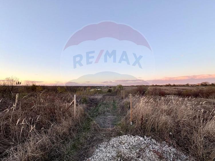 Oportunitate de investiție – teren 804 mp, Corbeanca – Strada Scolii - 5