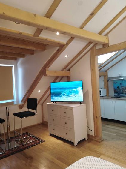 Studio de inchiriat-Faleza Nord - 2