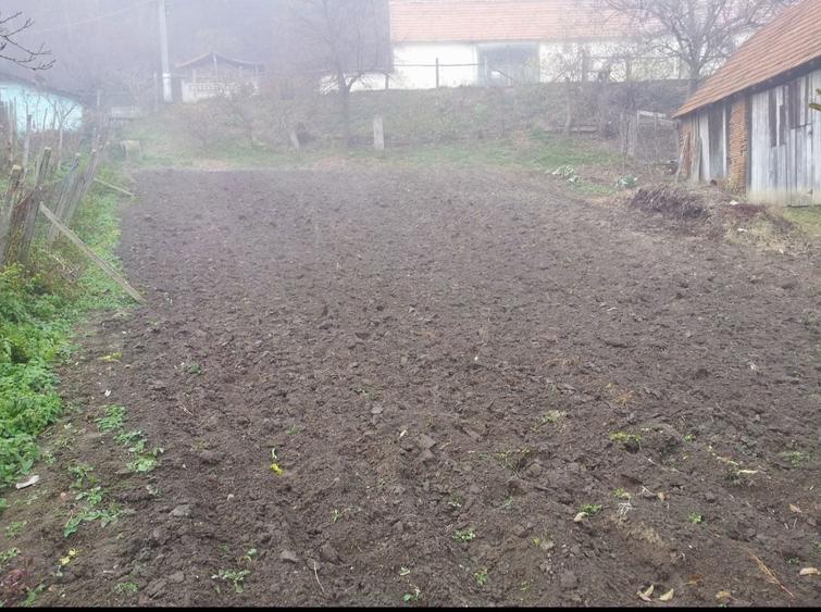 Casa individuala de vanzare curte si gradina suprafata 1500mp - 7