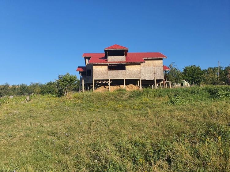 Casa de vanzare,2000 mp teren - 6