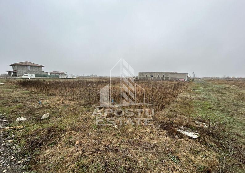 Teren 530 mp, Sacalaz, zona de case noi, zona PUZ Cosma. - 3