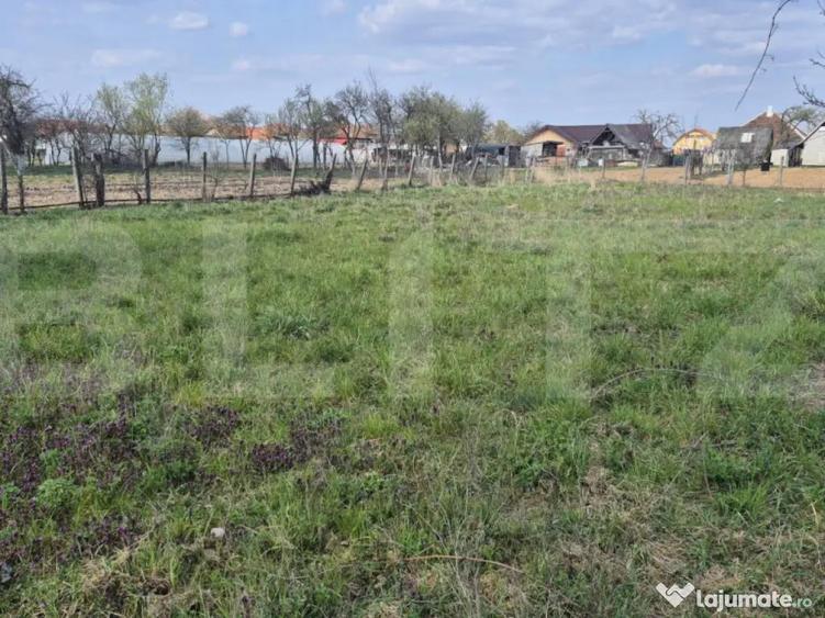 Teren intravilan de vanzare, 1399 mp, in Micula - 5