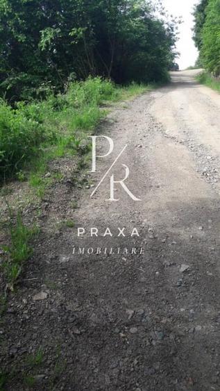 Teren de vanzare 10.000 mp/ parcelabil, cu utiitati, 4 euro/ mp! Maguri Racatau! - 6