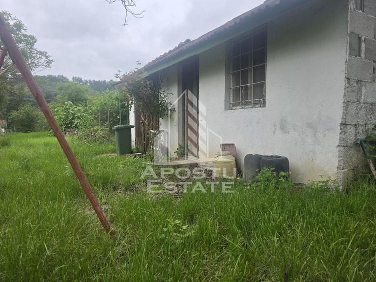 Proprietate cu potential turistic in Gurahont - 23