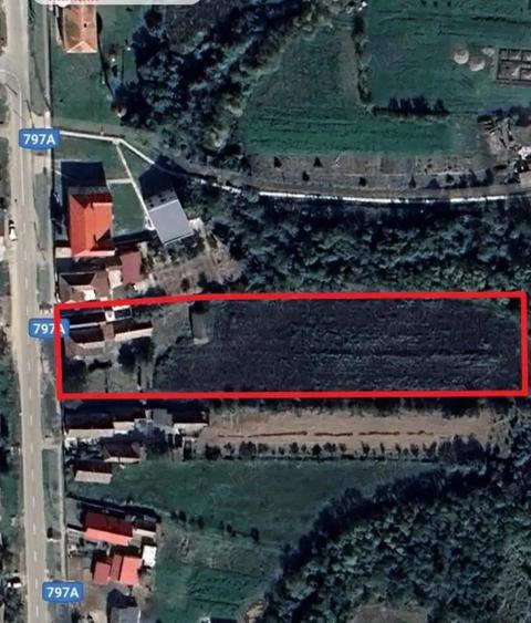 Casa cu teren de 6060 mp | LOC. BICACI | BIHOR - 1
