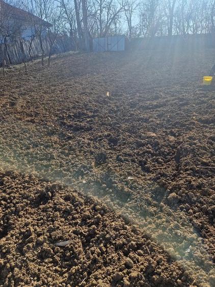 casa Bala de Jos-statiune - 6