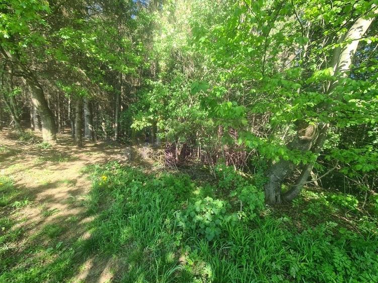 Teren de vanzare in Campina in zona retrasa - 10