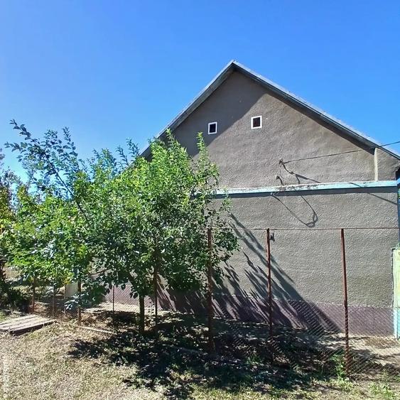 Casa cu teren 2877.mp la 27 km de Timi?oara - 1