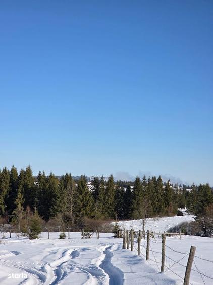 Teren 4000mp, in zona montana, Belis/Cluj - 3