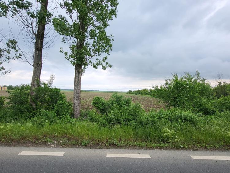 VANZARE TEREN INTRAVILAN CU DESCHIDERE DE 20 ML LA DJ SILISTEA SNAGOV - 4