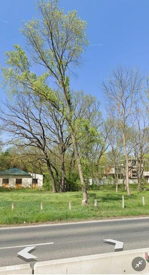 Teren intravilan 507 mp | Valu lui Traian | P+4E | Forest M - 9