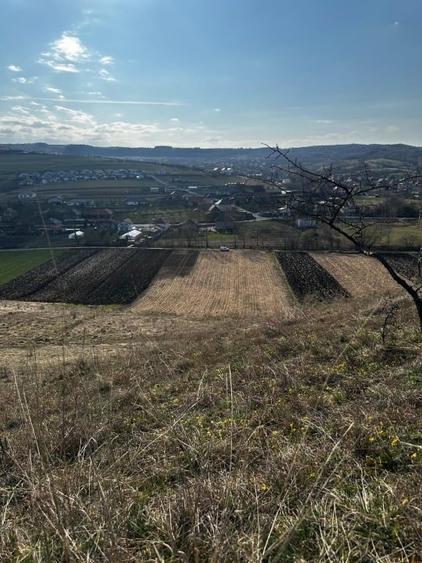 Teren extravilan 9000 mp Corușu, Baciu – acces drum,  acces apa curgatoare - 5