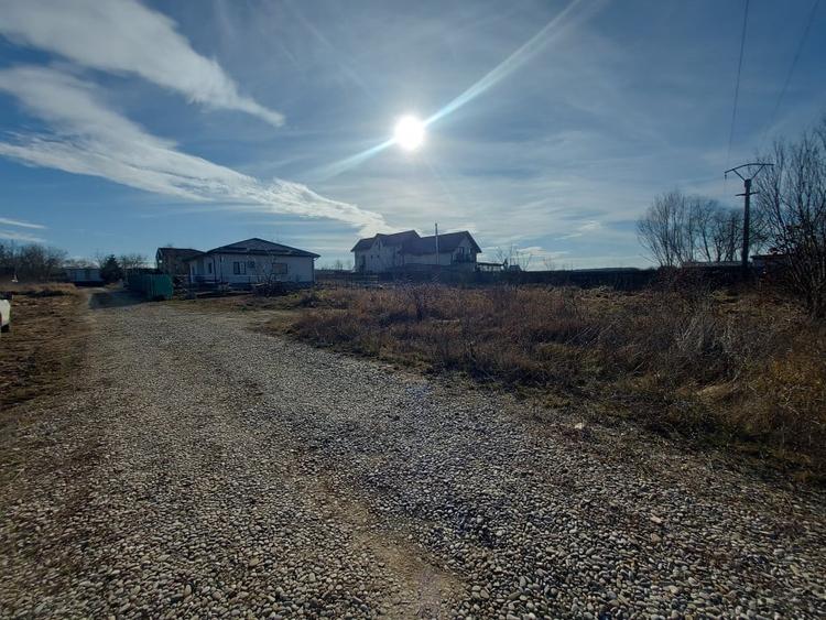 Loc de casa cu utilitati, 944mp cu 29m deschidere, Ciofliceni - Snagov! - 5