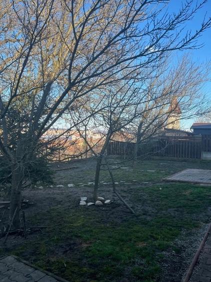 PROPRIETAR,vand casa Sura Mica,suprafata utila 92mp. - 7