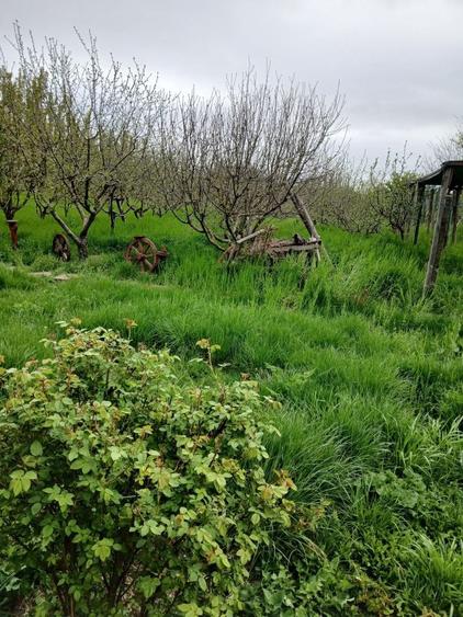 De vanzare casa agro-turistica in Istria - 4